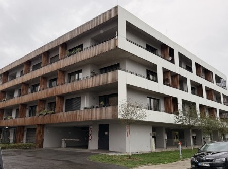 Nemovitost