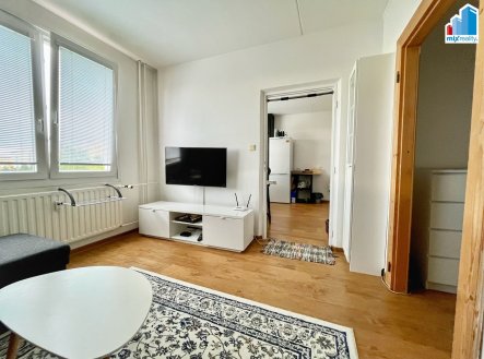 Pronájem bytu, 1+1, 39 m², Plzeň – náhled fotky 4