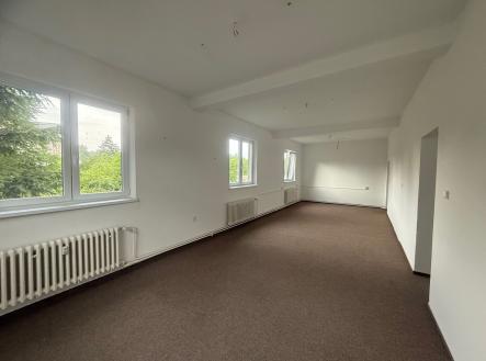 Pronájem obchodní prostor, 55 m²