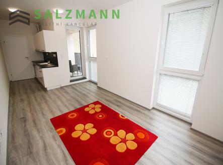 Pronájem bytu, 1+kk, 32 m²