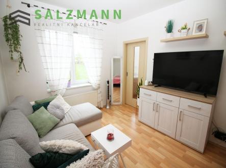 Pronájem bytu, 1+1, 39 m² obrázek