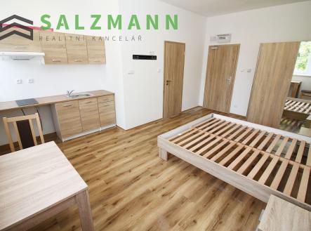 Prodej bytu, 1+kk, 24 m²