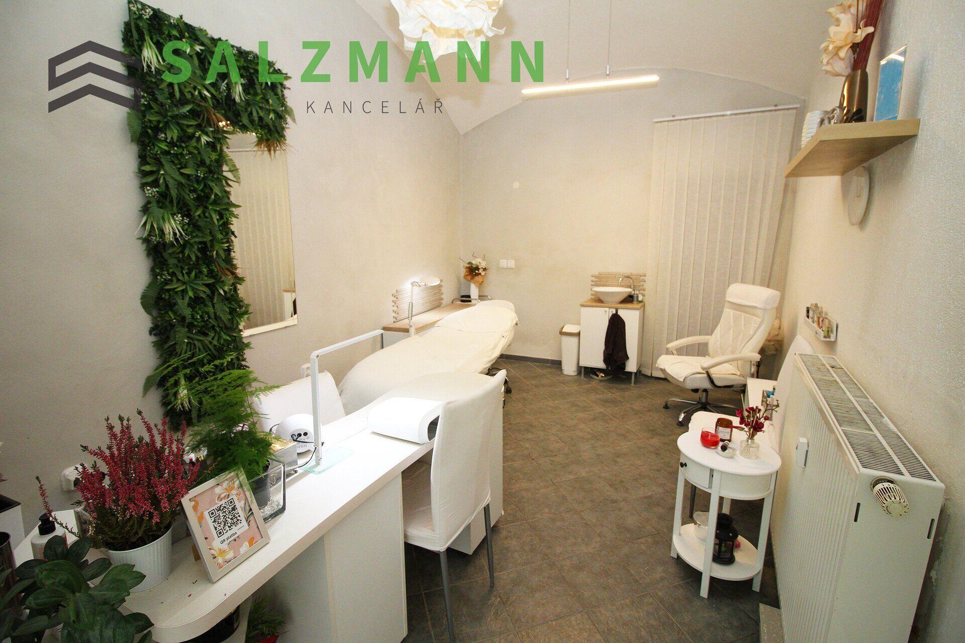 Komerční prostor (cihla, 15m2), Plzeň • Centrum, Bezručova ul.