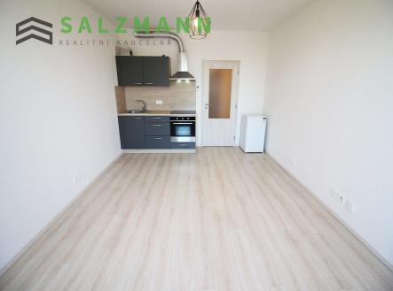 Pronájem bytu, 1+kk, 29 m²