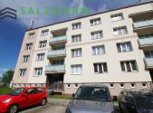 Pronájem bytu, 1+1, 42 m²