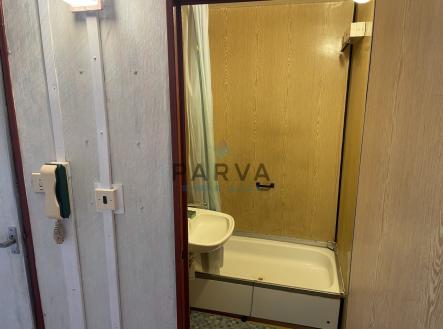 Pronájem bytu, 1+1, 39 m²