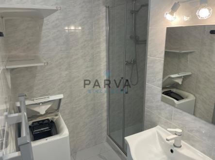 Pronájem bytu, 1+1, 39 m²