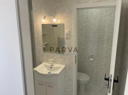 Pronájem bytu, 1+1, 39 m²