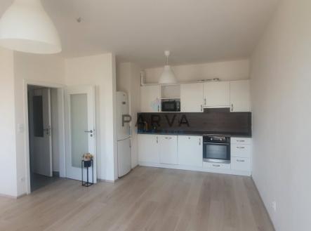 Pronájem bytu, 1+kk, 47 m²