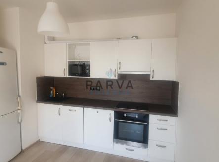 Pronájem bytu, 1+kk, 47 m²