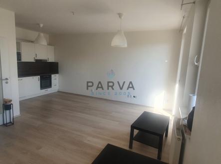 Pronájem bytu, 1+kk, 47 m²