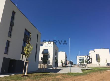 Pronájem bytu, 1+kk, 33 m²