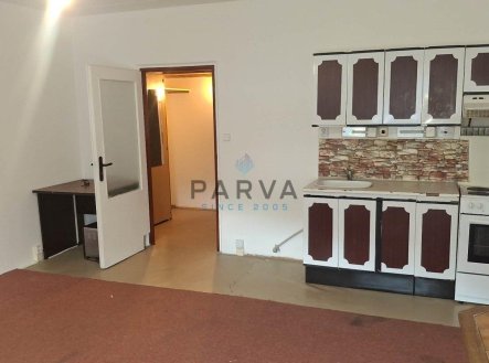Pronájem bytu, 1+kk, 26 m², Holoubkov – náhled fotky 2