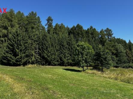 Prodej pozemku, les, 17 502 m²