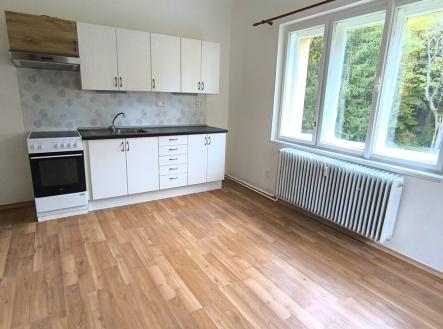 Pronájem bytu, 2+1, 68 m²