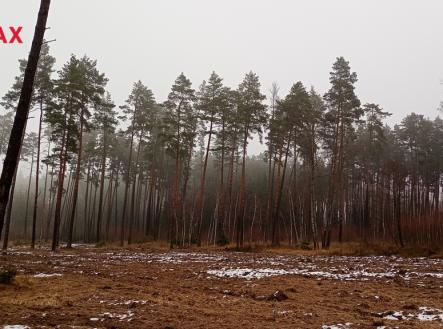 Prodej pozemku, les, 9 849 m²