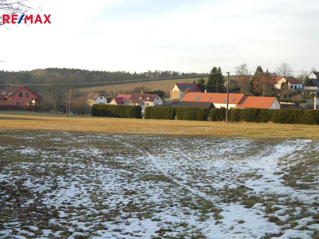 Borovany výhledem od pozemku.