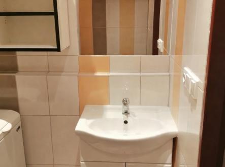 Pronájem bytu, 1+kk, 28 m²