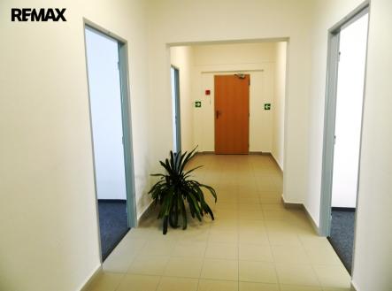 Pronájem kanceláře, 17 m²