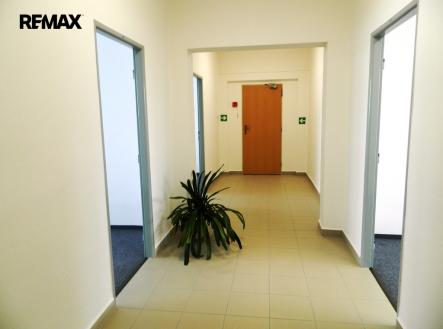 Pronájem kanceláře, 17 m²