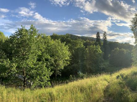 Prodej pozemku pro bydlení, 600 m²