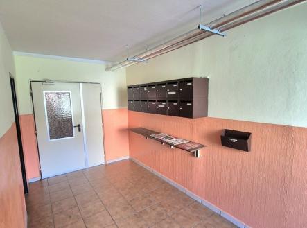 20260527-115533.jpg