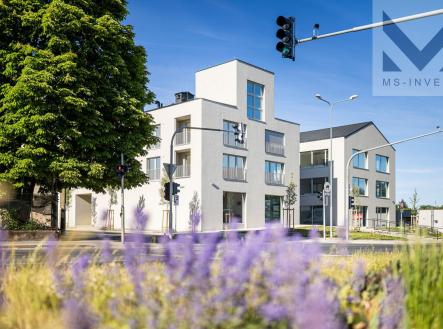 Prodej kanceláře, 54 m²