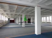 Pronájem obchodní prostory, 635 m²