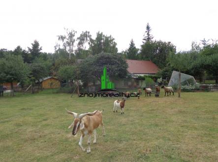 Pronájem domu/vily, 80 m²