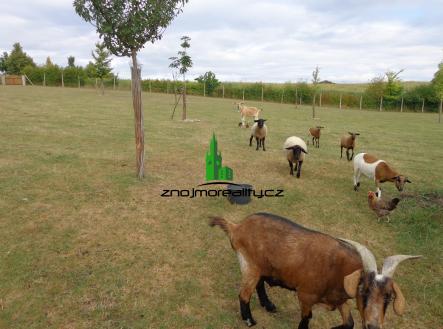 Pronájem domu/vily, 80 m²