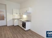 Pronájem bytu, 1+1, 49 m²