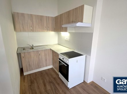 Pronájem bytu, 1+1, 59 m²