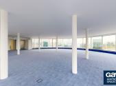 Pronájem kanceláře, 430 m²