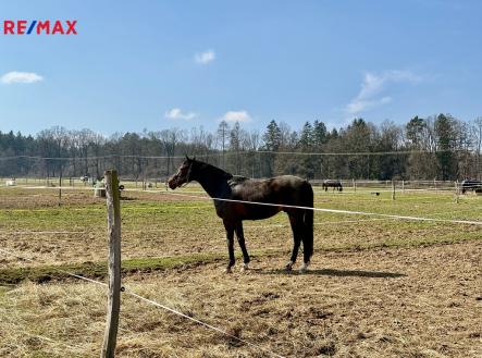 Prodej zemědělského objektu, 166 477 m²