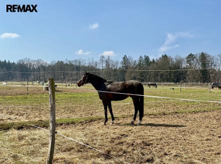 Prodej zemědělského objektu, 166 477 m²