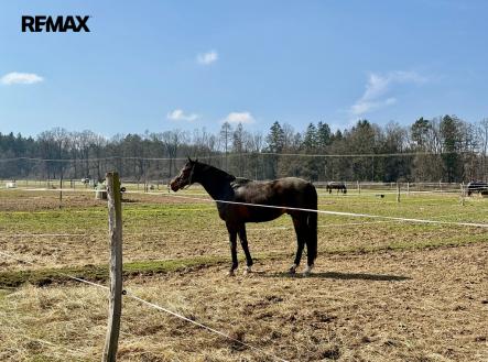 Prodej zemědělského objektu, 166 477 m²