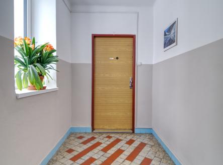 vstupní dveře