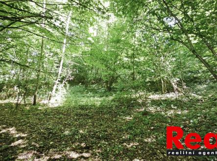 Prodej pozemku, zahrada, 1 173 m²