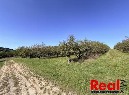 Prodej pozemku pro bydlení, 3 129 m²