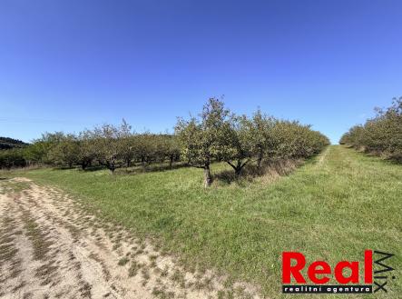 Prodej pozemku pro bydlení, 3 129 m²