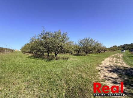 Prodej pozemku pro bydlení, 3 129 m²