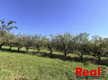 Prodej pozemku pro bydlení, 1 043 m²