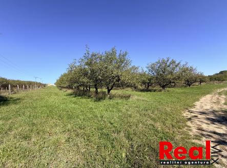 Prodej pozemku pro bydlení, 1 043 m²