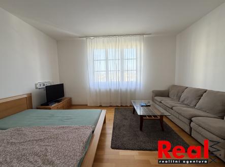 Pronájem bytu, 1+1, 55 m²