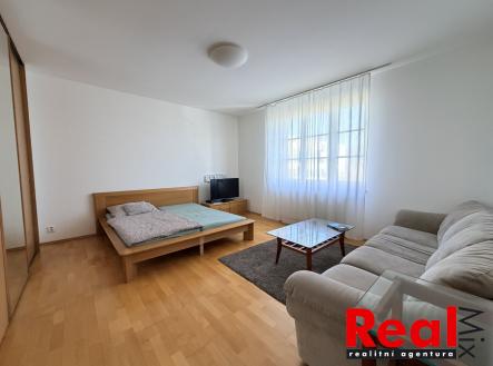 Pronájem bytu, 1+1, 55 m²