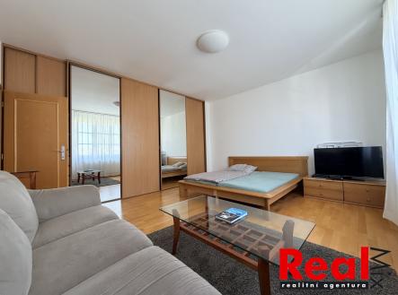 Pronájem bytu, 1+1, 55 m²