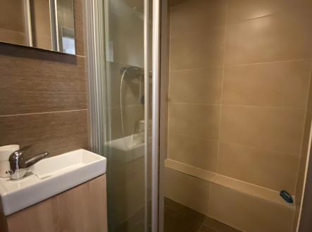 Pronájem bytu, 1+kk, 30 m²