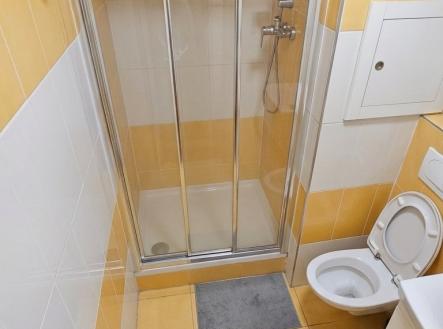 Pronájem bytu, 1+kk, 28 m²