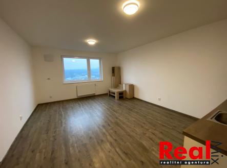 Pronájem bytu, 1+kk, 33 m²