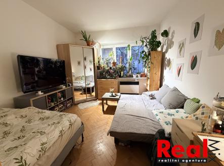 Pronájem bytu, 1+1, 42 m²